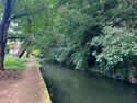 Himejimiddlemoat36.jpg