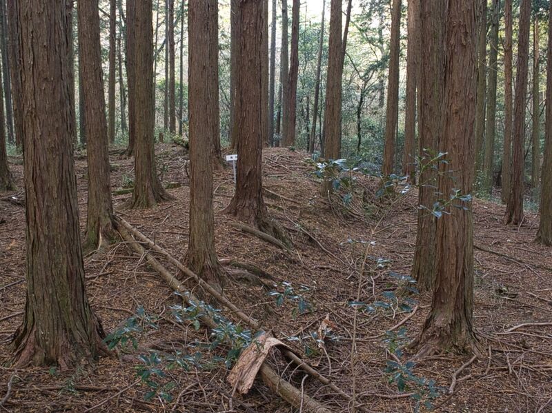 File:Koideyakatakyoto16.jpg