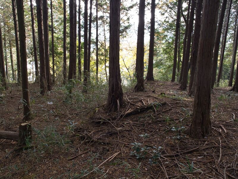 File:Koideyakatakyoto9.jpg