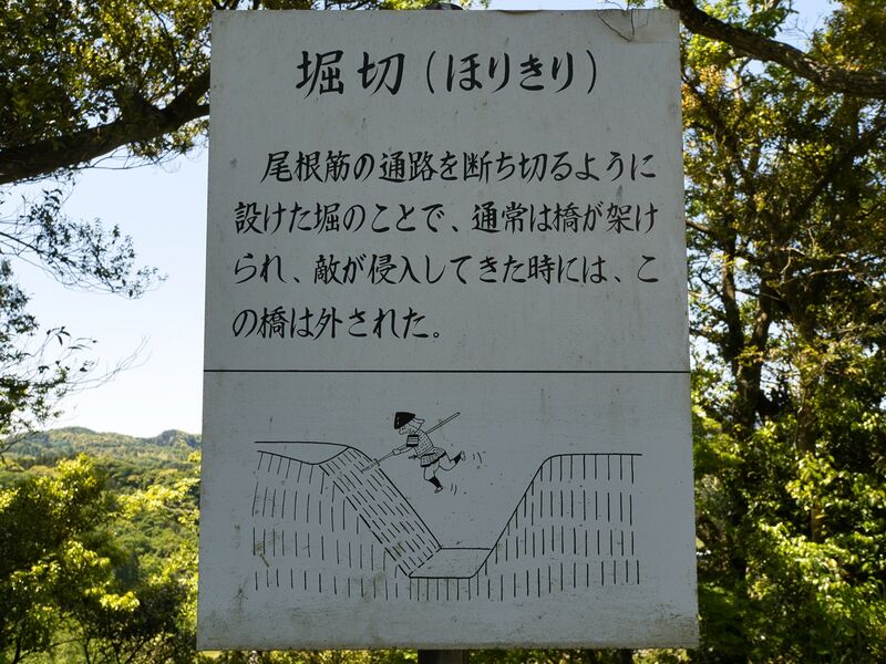 File:Kururi11.jpg