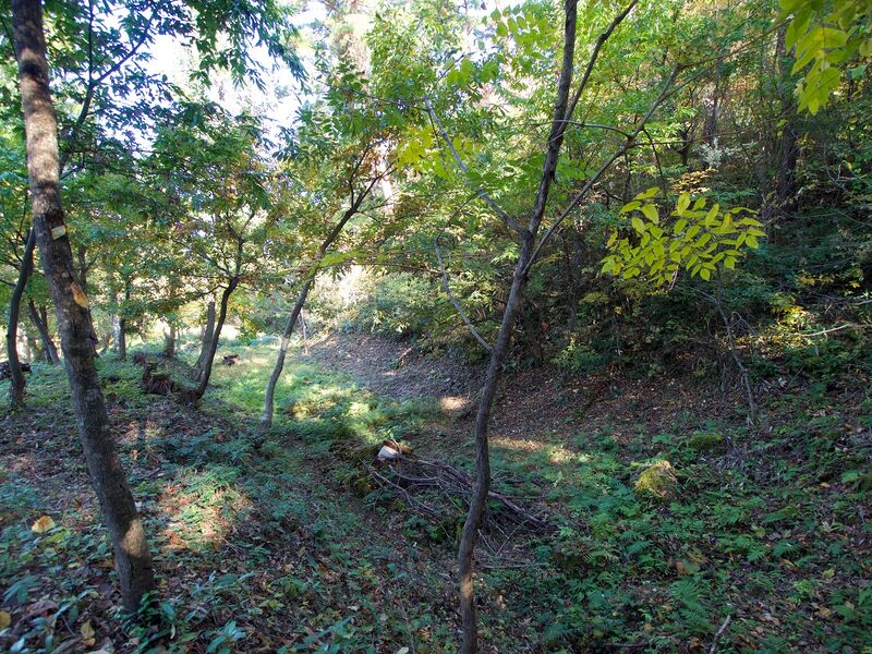 File:Mukaihaguroyama48.jpg