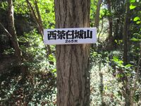 NukataChausuyamajou (18).jpg