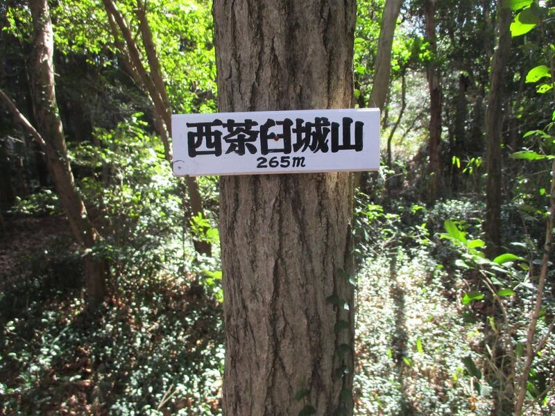 File:NukataChausuyamajou (18).jpg