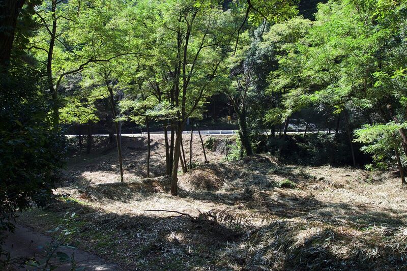 File:Shinpu29.jpg
