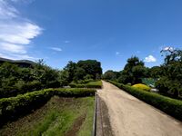 Akayamajinya20.jpg