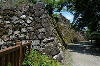 Echizen15.jpg