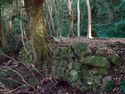 Hagicastle14.jpg