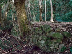 Hagicastle14.jpg