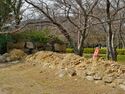 Hagicastle29.jpg