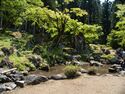 Ichijodani-asakura-suwa4.jpg