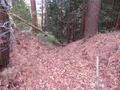 Thumbnail for version as of 06:56, 29 April 2020