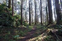 Karasuyama9.jpg