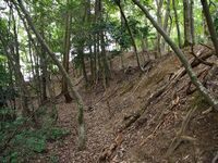 Kumagawacastle14.jpg