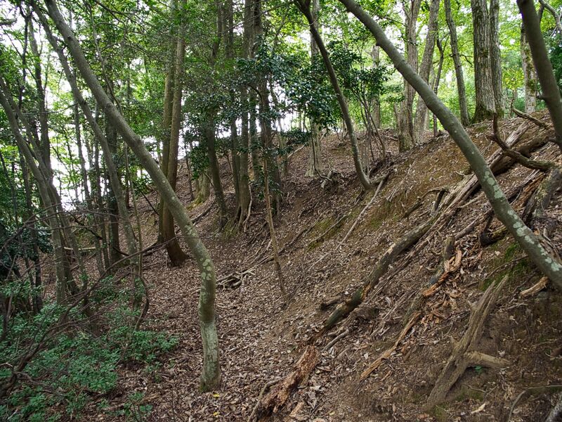 File:Kumagawacastle14.jpg