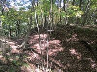 Omijou (24).JPG
