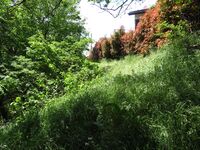 HanazawaYakata (6).JPG