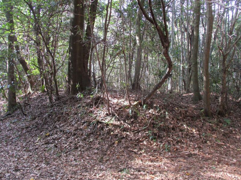 File:Hobonishijou005.jpg