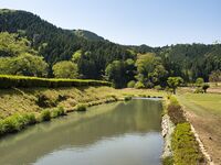 Ichijodani-asakura-yakata11.jpg