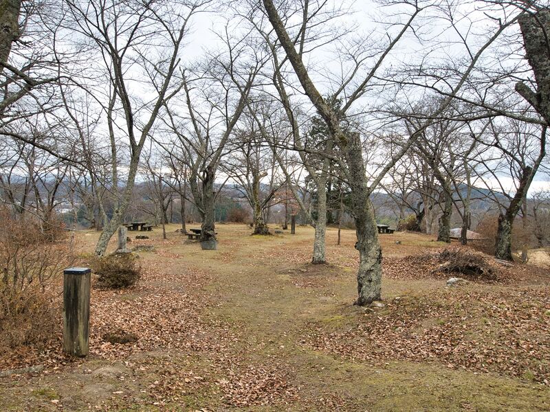 File:Miharu23.jpg