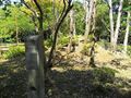 Thumbnail for version as of 13:28, 24 June 2017