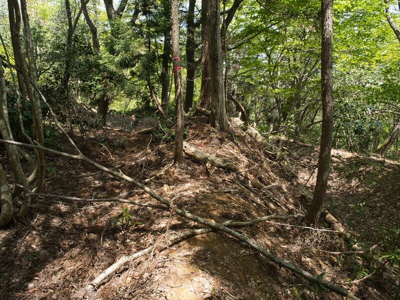 File:Nakataniyama5.jpg