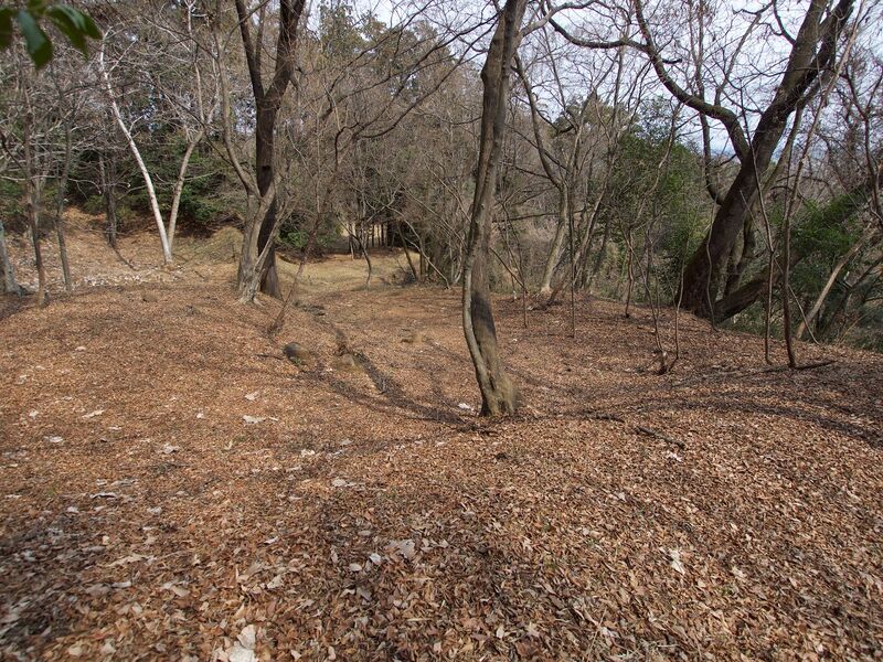 File:Nishikata43.jpg