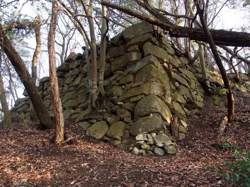File:Sasou11.jpg