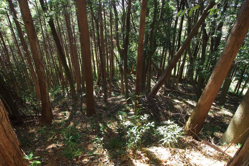 File:Takatome29.jpg