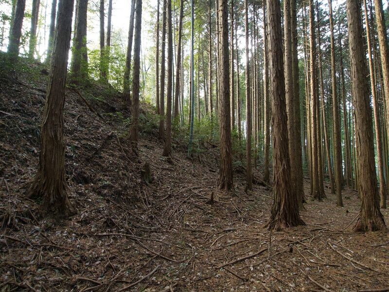 File:Uenokoka15.jpg