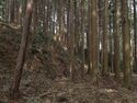 Wadakoka32.jpg