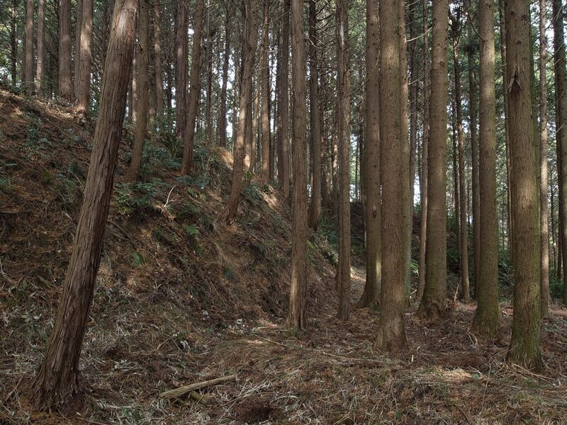 File:Wadakoka32.jpg