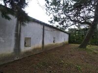 Wakayama32.jpg