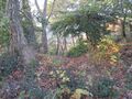 Thumbnail for version as of 13:05, 19 January 2022