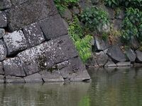 Edo23.jpg