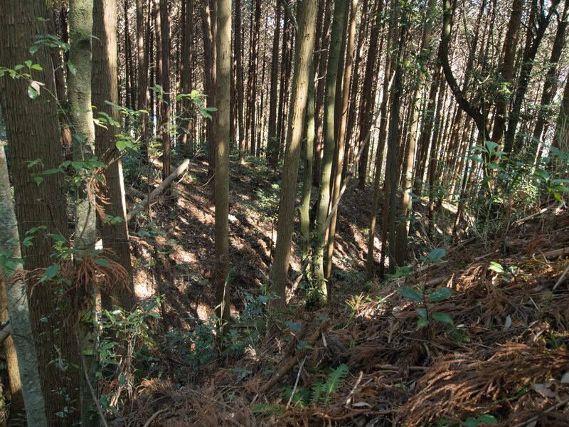 File:Kokashingushi25.jpg
