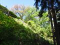 Thumbnail for version as of 22:25, 12 May 2020