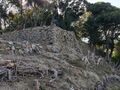 Thumbnail for version as of 07:21, 7 June 2024