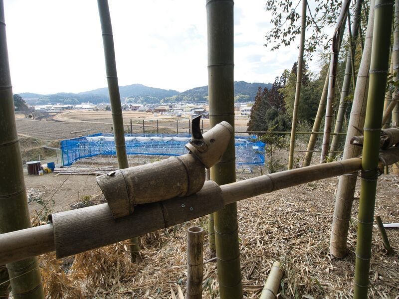 File:Takenakakoka8.jpg