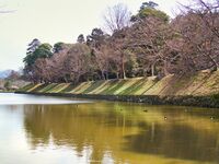 Hikone73.jpg