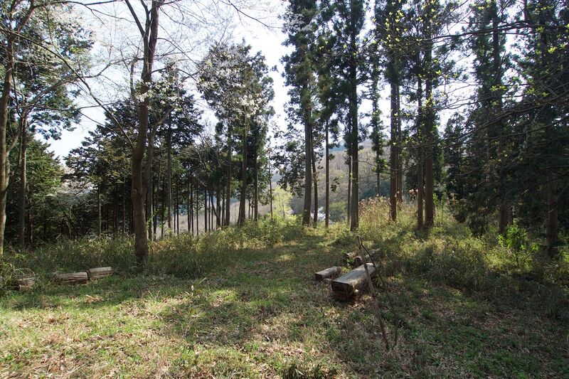 File:Kanaoyogaisan13.jpg