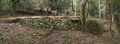 Thumbnail for version as of 21:29, 21 July 2024