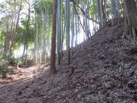Nakasaijou (14).JPG