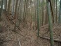 Ogawanishinokoka32.jpg