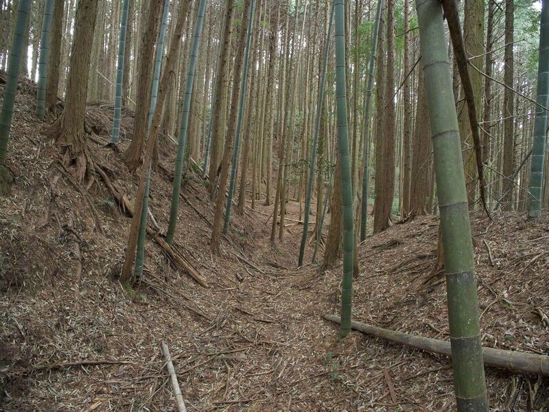 File:Ogawanishinokoka32.jpg