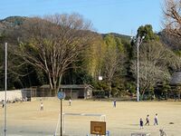 ShinshirojouChris (4).jpg