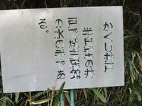TohtoumiFujimaruYakata (5).jpg