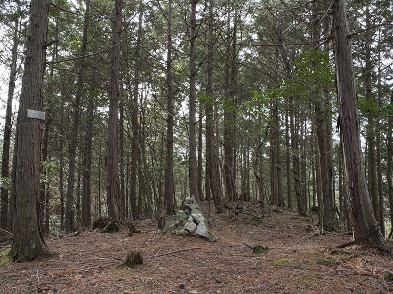 File:Ahoyama5.jpg