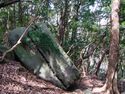 Heda quarry11.jpg