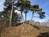 Ina-Ryūgsaki11.JPG