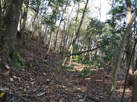 Inokurakyoto33.jpg
